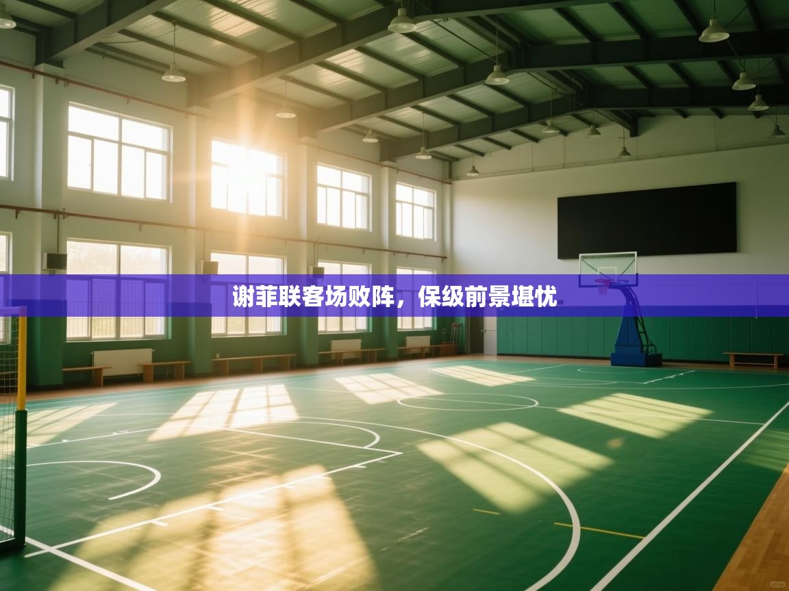 谢菲联客场败阵，保级前景堪忧